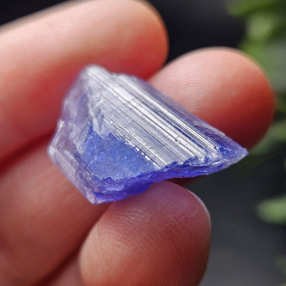 Tanzanite Terminated Crystal 4.69g, Bi Color Raw Tanzanite Gemstone