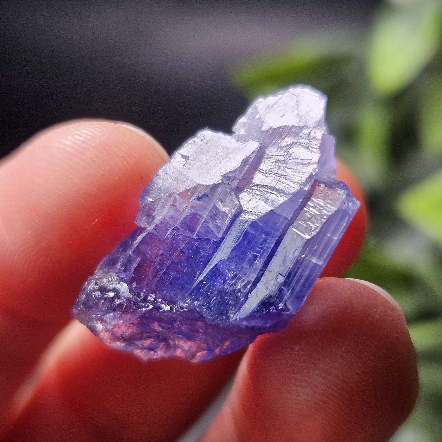 Tanzanite Terminated Crystal 4.69g, Bi Color Raw Tanzanite Gemstone