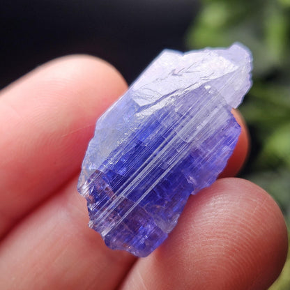 Tanzanite Terminated Crystal 4.69g, Bi Color Raw Tanzanite Gemstone