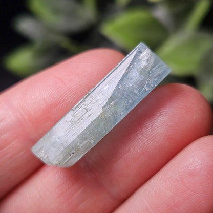 Terminated Aquamarine Crystal from Nigeria 3.55g, Nigerian Emerald Aquamarine, Vanadium Beryl