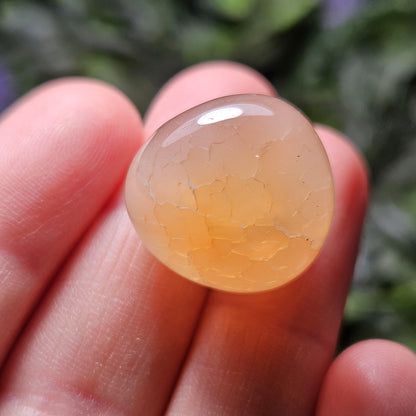 Snakeskin Fire Agate Crystal, Snakeskin Agate Tumbled Stone, Polished Dragonskin Agate