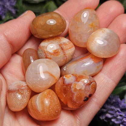 Snakeskin Fire Agate Crystal, Snakeskin Agate Tumbled Stone, Polished Dragonskin Agate