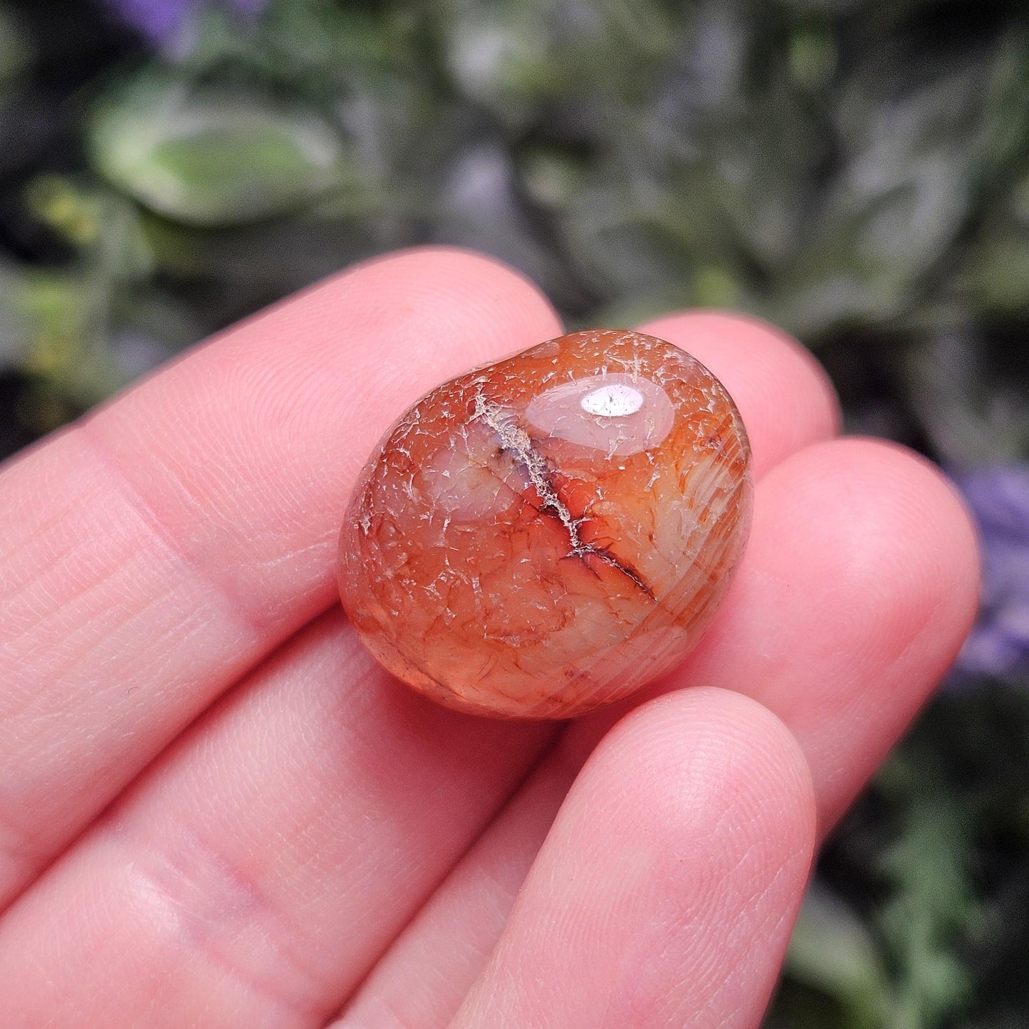 Snakeskin Fire Agate Crystal, Snakeskin Agate Tumbled Stone, Polished Dragonskin Agate