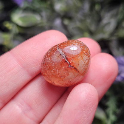 Snakeskin Fire Agate Crystal, Snakeskin Agate Tumbled Stone, Polished Dragonskin Agate