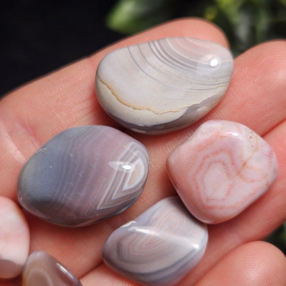 Botswana Agate Crystal, Pink & Grey Chalcedony ~ Choose Your Size