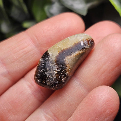 Tumbled Septarian Stone, Dragon Egg Calcite Geode, Septarian Stone Crystal Specimen