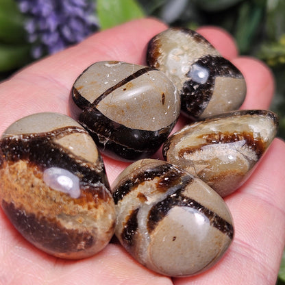 Tumbled Septarian Stone, Dragon Egg Calcite Geode, Septarian Stone Crystal Specimen