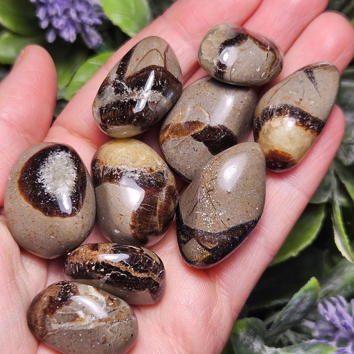 Tumbled Septarian Stone, Dragon Egg Calcite Geode, Septarian Stone Crystal Specimen