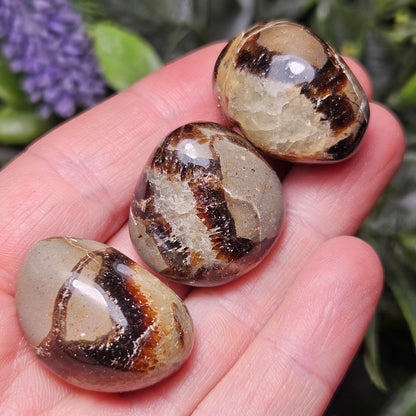 Tumbled Septarian Stone, Dragon Egg Calcite Geode, Septarian Stone Crystal Specimen