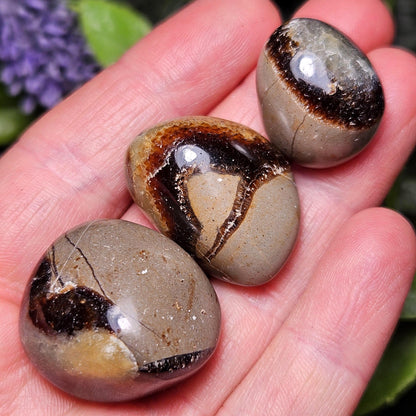 Tumbled Septarian Stone, Dragon Egg Calcite Geode, Septarian Stone Crystal Specimen