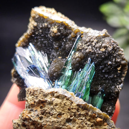 Vivianite Crystal Cluster 76.89g, Vivianite Specimen, Raw Blue