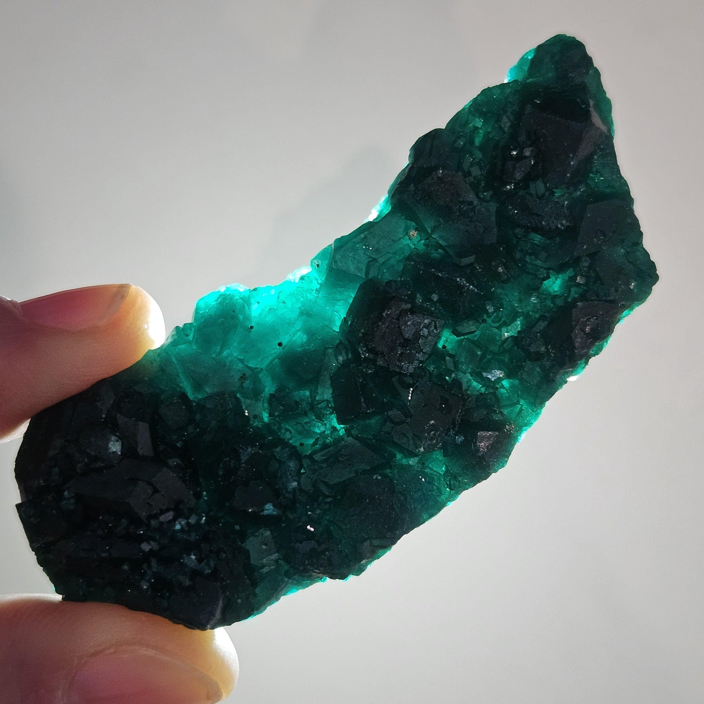 Dioptase Crystal Cluster from Congo 33.13g