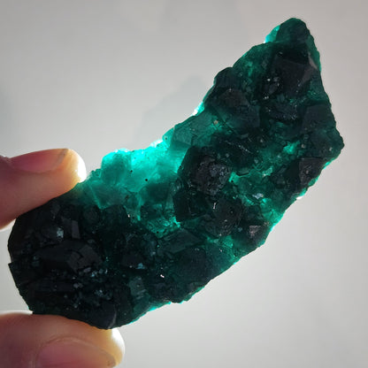 Dioptase Crystal Cluster from Congo 33.13g
