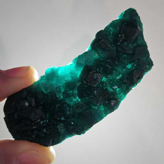 Dioptase Crystal Cluster from Congo 33.13g