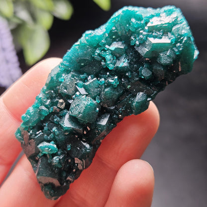 Dioptase Crystal Cluster from Congo 33.13g