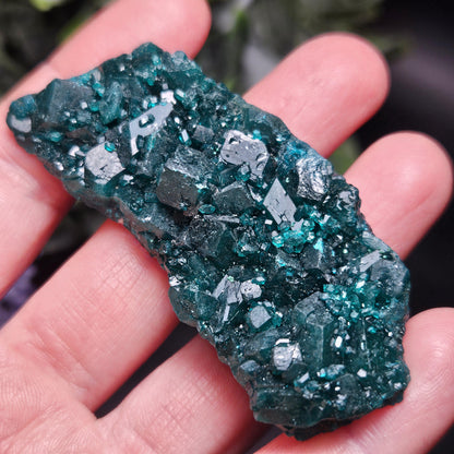 Dioptase Crystal Cluster from Congo 33.13g