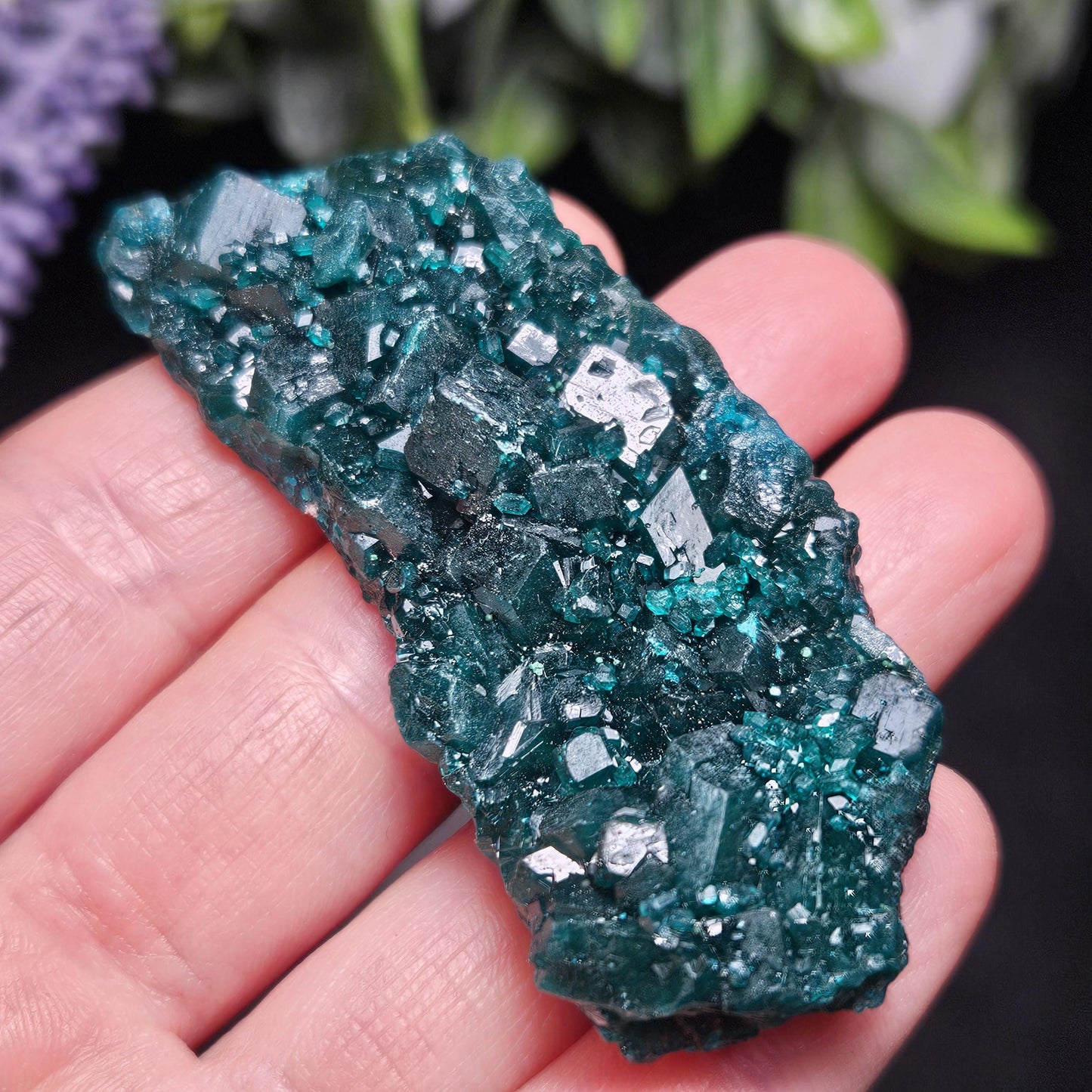 Dioptase Crystal Cluster from Congo 33.13g