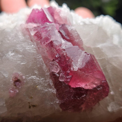 Pink Tourmaline in Quartz from Brazil 384.11g