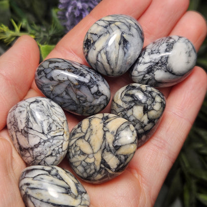 Pinolite Crystal (0.75