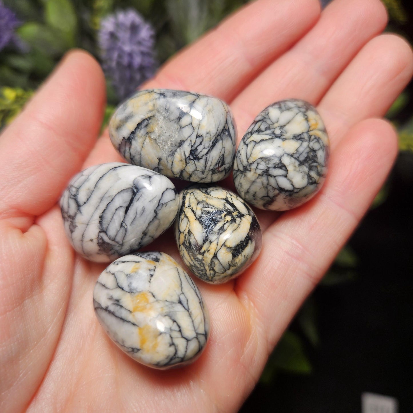 Pinolite Crystal (0.75