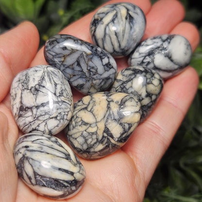 Pinolite Crystal (0.75