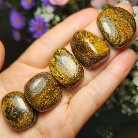Bronzite Crystal (1"+), Polished Bronzite Tumble
