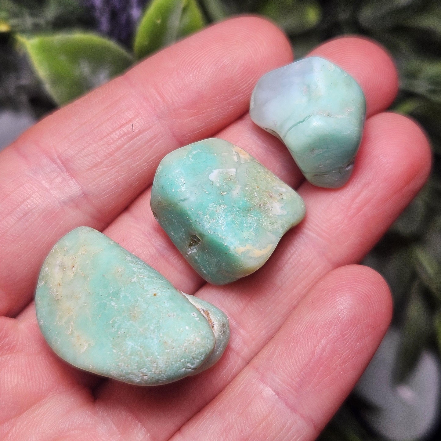 Chrysoprase Tumbled Stone