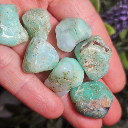 Chrysoprase Tumbled Stone