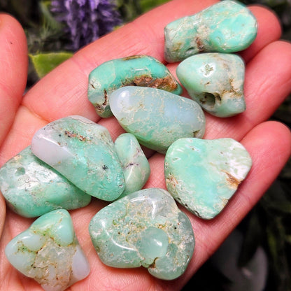 Chrysoprase Tumbled Stone