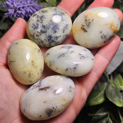 Dendritic Green Opal Palm Stone (1.25"+), Polished Dendritic Opal Crystal