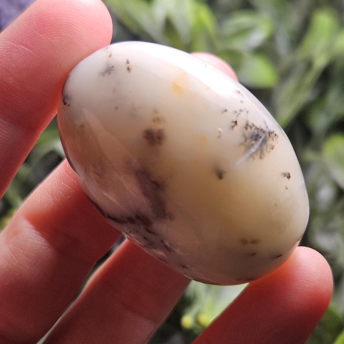 Dendritic Green Opal Palm Stone (1.25"+), Polished Dendritic Opal Crystal
