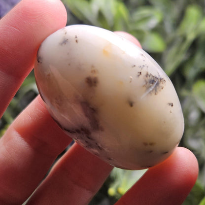 Dendritic Green Opal Palm Stone (1.25"+), Polished Dendritic Opal Crystal