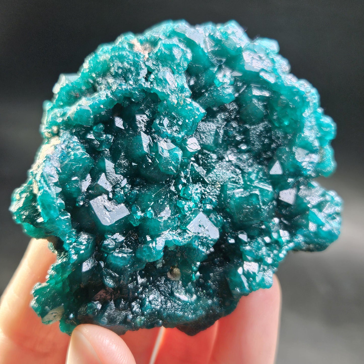 Dioptase Crystal Cluster from Congo 81.09g