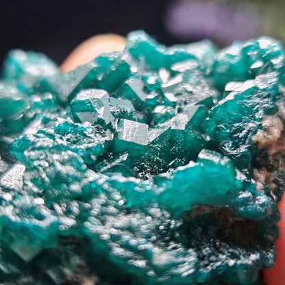 Dioptase Crystal Cluster from Congo 81.09g