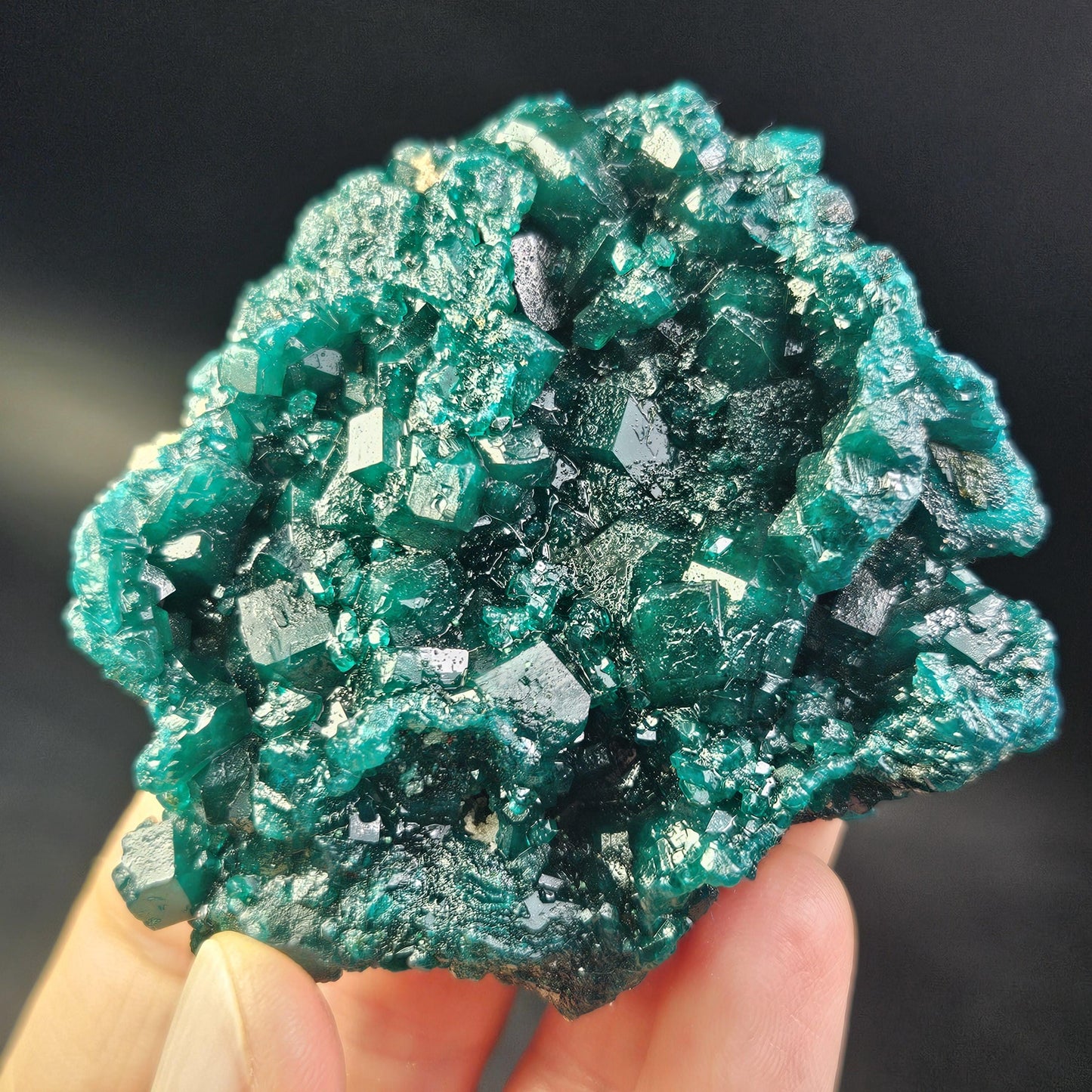 Dioptase Crystal Cluster from Congo 81.09g