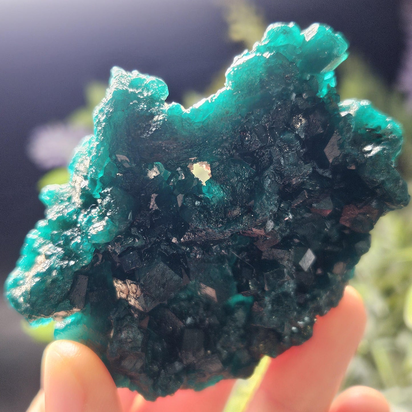 Dioptase Crystal Cluster from Congo 81.09g