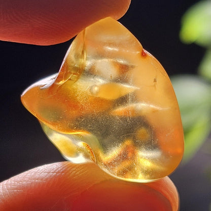 Enhydro Amber with MOVING Bubbles, 2.35g