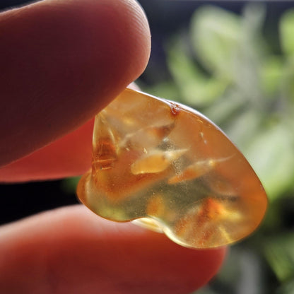 Enhydro Amber with MOVING Bubbles, 2.35g