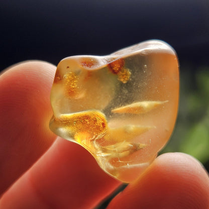 Enhydro Amber with MOVING Bubbles, 2.35g