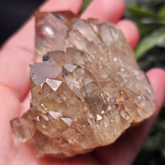 Kundalini Congo Citrine Quartz Cluster 132.59g, Smoky Citrine Crystal Multi