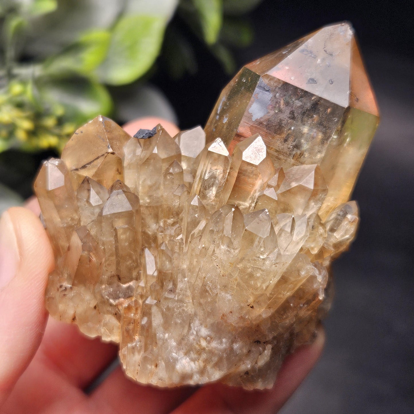 Kundalini Congo Citrine Quartz Cluster 132.59g, Smoky Citrine Crystal Multi