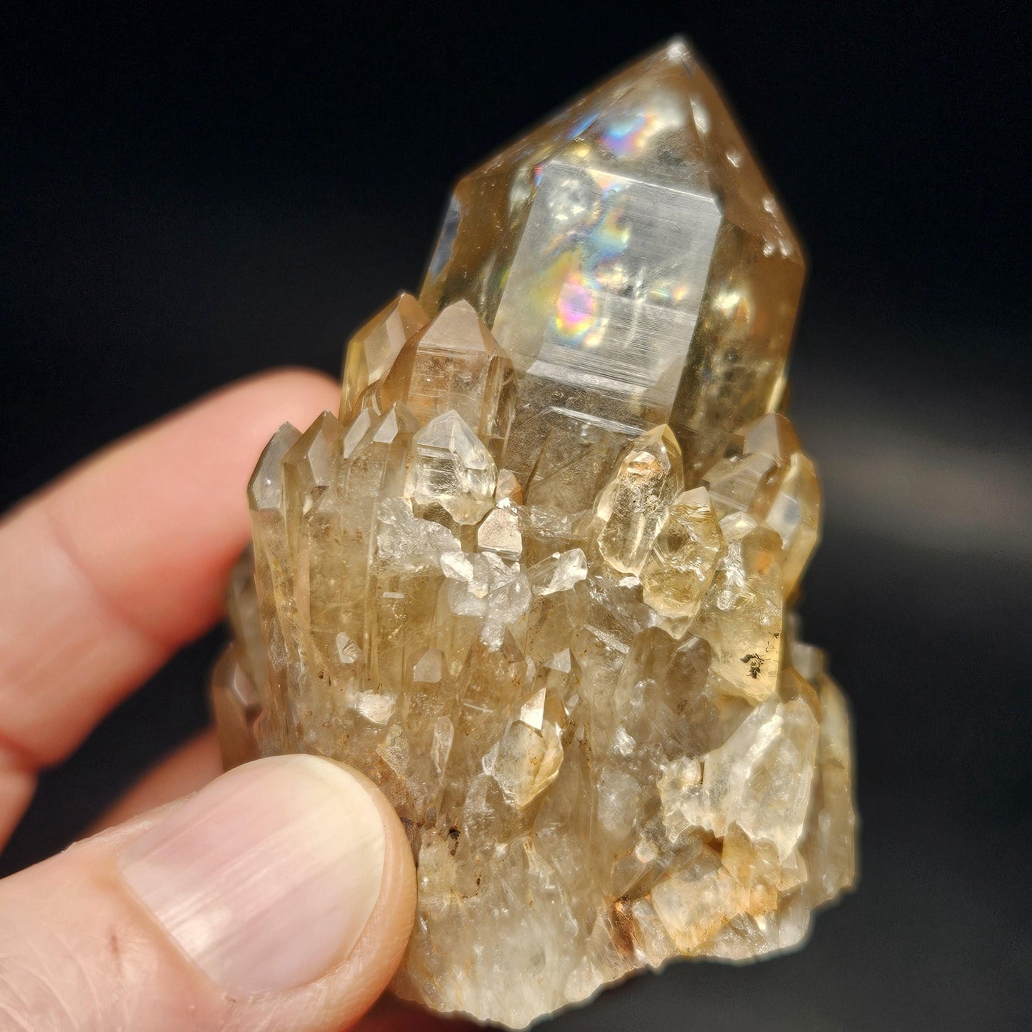 Kundalini Congo Citrine Quartz Cluster 132.59g, Smoky Citrine Crystal Multi