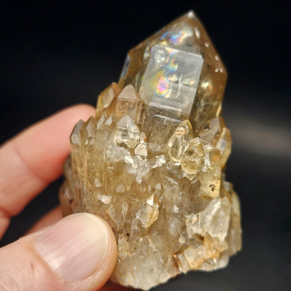 Kundalini Congo Citrine Quartz Cluster 132.59g, Smoky Citrine Crystal Multi