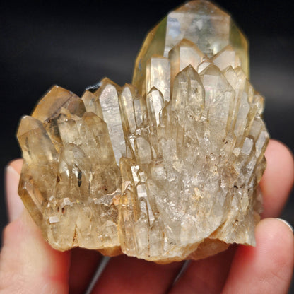 Kundalini Congo Citrine Quartz Cluster 132.59g, Smoky Citrine Crystal Multi