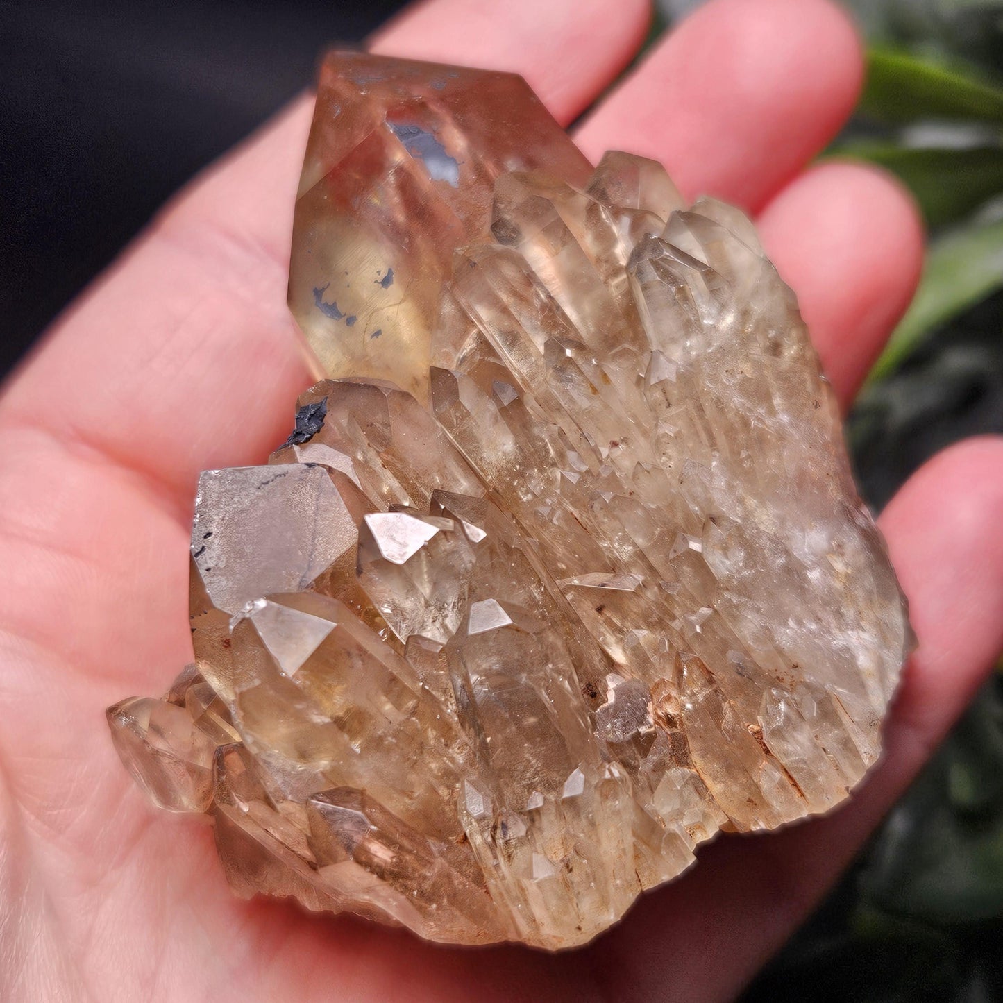 Kundalini Congo Citrine Quartz Cluster 132.59g, Smoky Citrine Crystal Multi