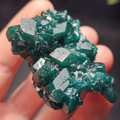 Dioptase Crystal Cluster from Congo 39.69g