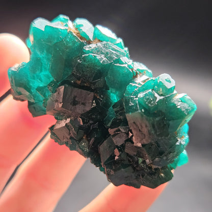 Dioptase Crystal Cluster from Congo 39.69g