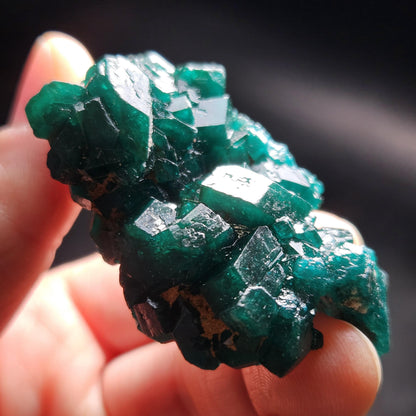 Dioptase Crystal Cluster from Congo 39.69g
