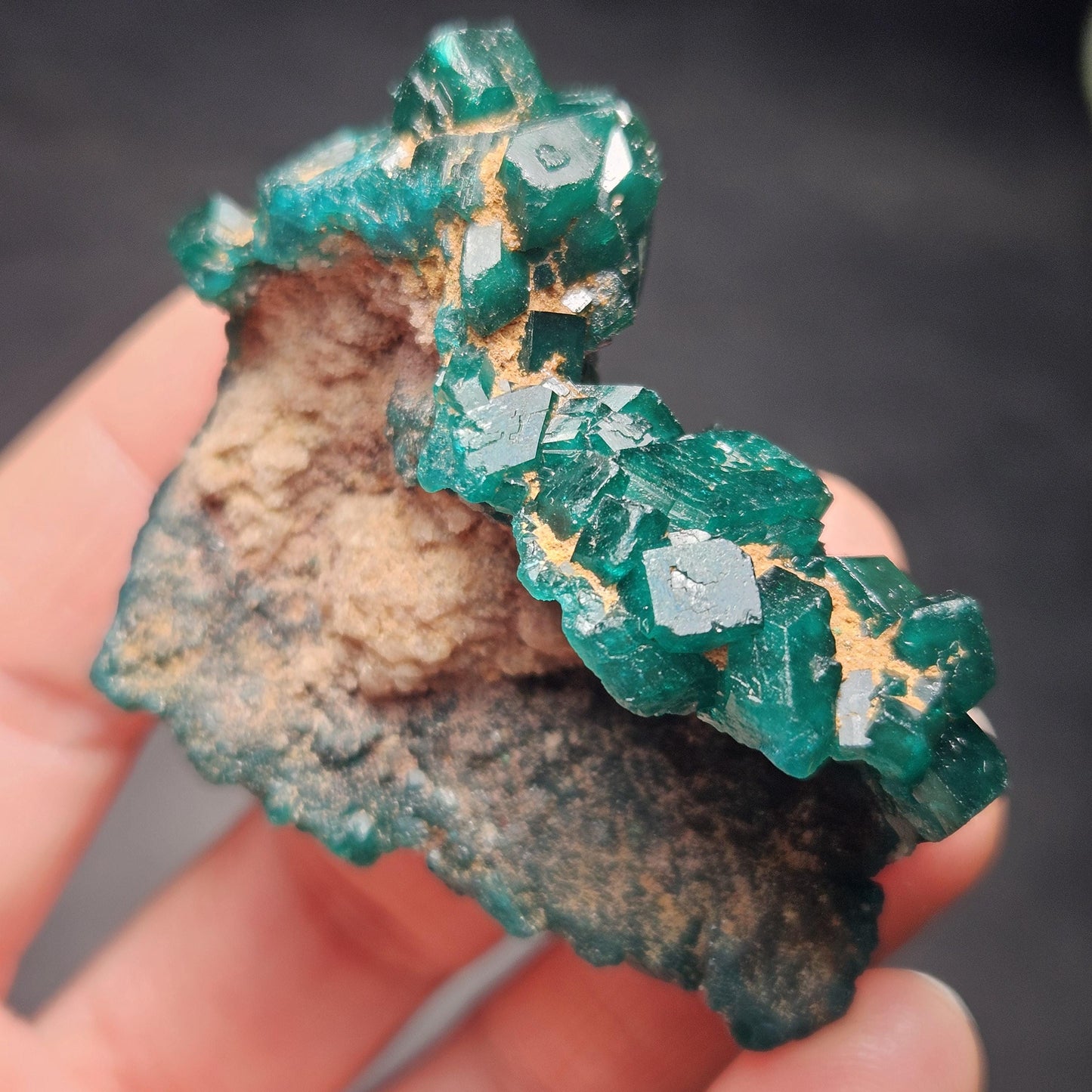 Dioptase Crystal Cluster from Congo 39.69g