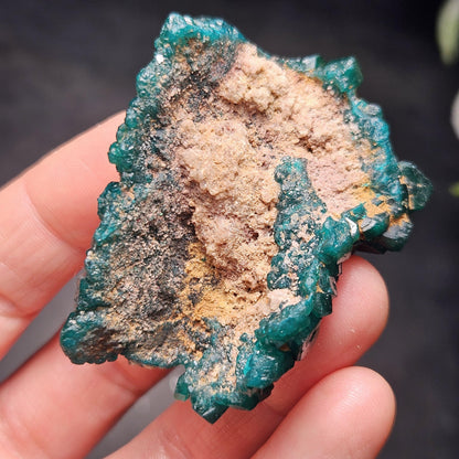Dioptase Crystal Cluster from Congo 39.69g